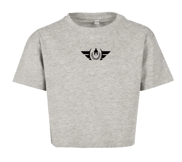 cropp top slimfit king of power prod gris chiné